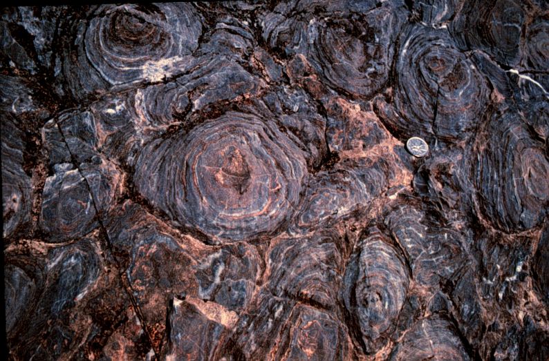 tl_files/sites/ees/Images/news/stromatolite.jpg